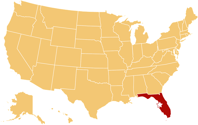 tampa fl car shipping